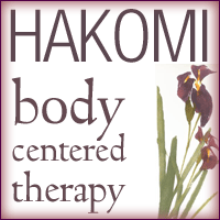 200x_hakomi
